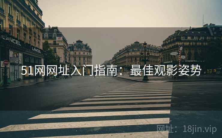 51网网址入门指南：最佳观影姿势
