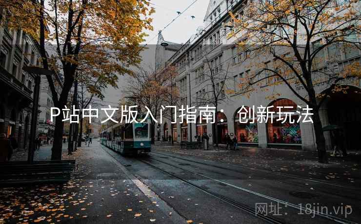 P站中文版入门指南：创新玩法