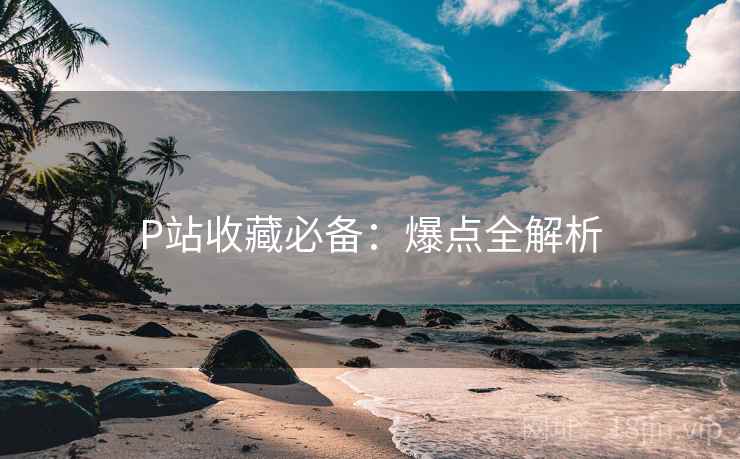 P站收藏必备：爆点全解析