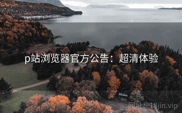 p站浏览器官方公告：超清体验