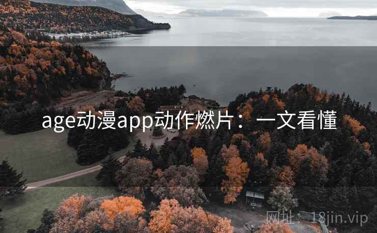 age动漫app动作燃片：一文看懂