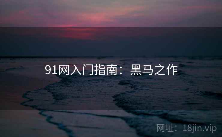91网入门指南：黑马之作
