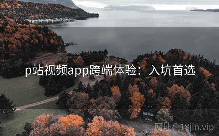 p站视频app跨端体验：入坑首选