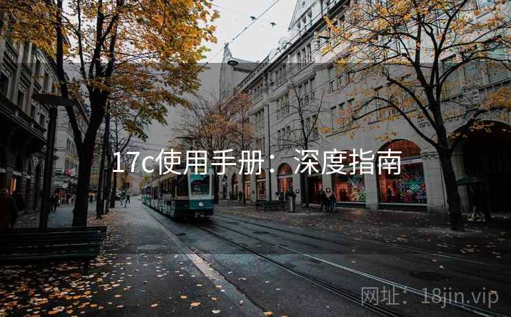 17c使用手册：深度指南