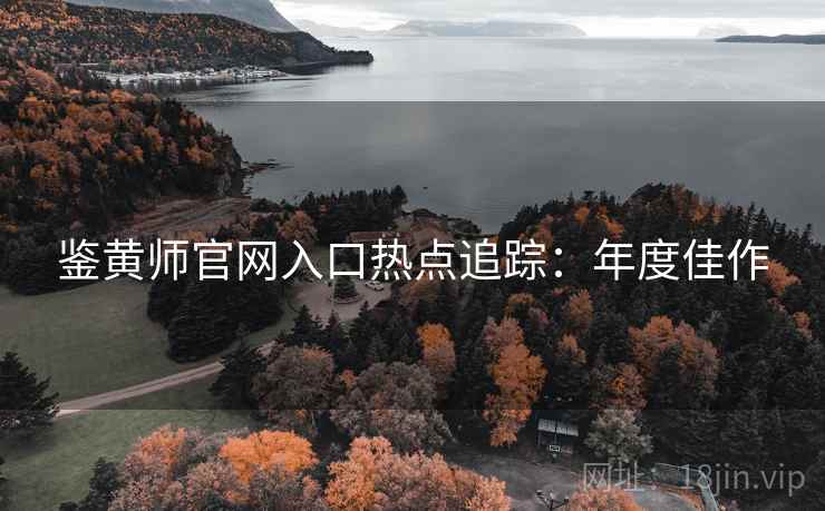 鉴黄师官网入口热点追踪：年度佳作