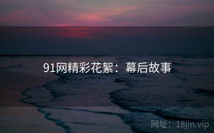91网精彩花絮：幕后故事